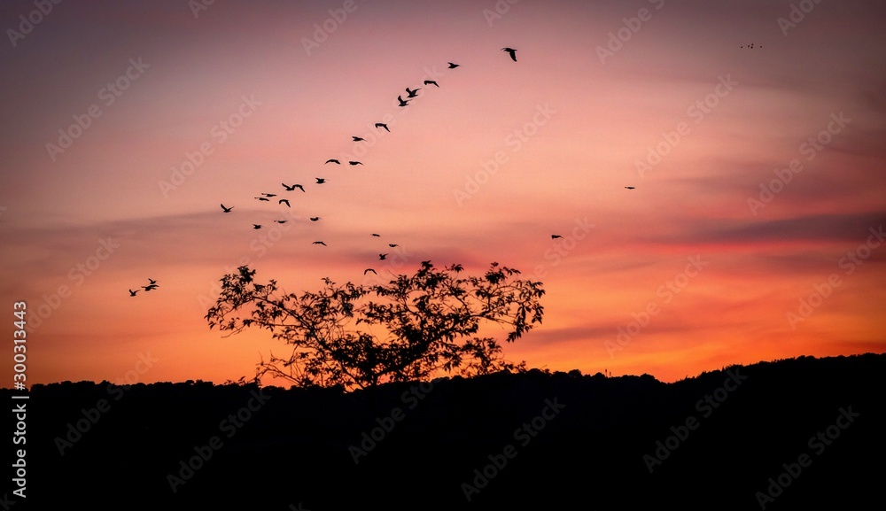 Evening sunset with trees over English countryside landscape from a hill peak.