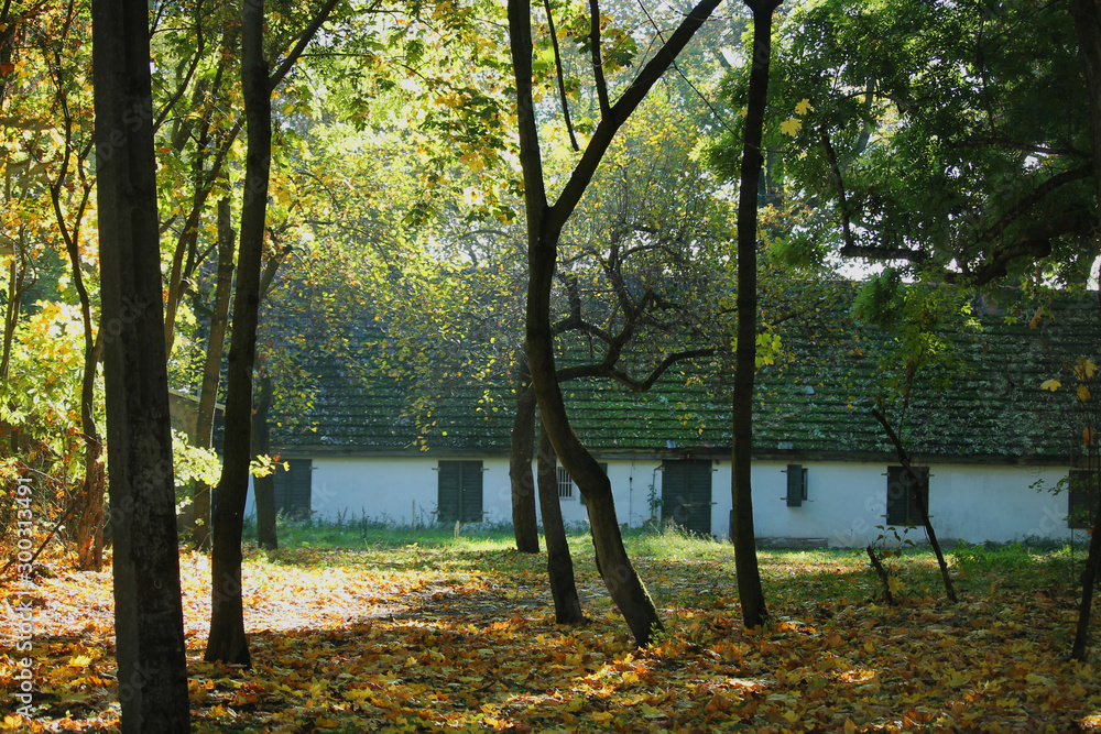 an old building through autumn trees