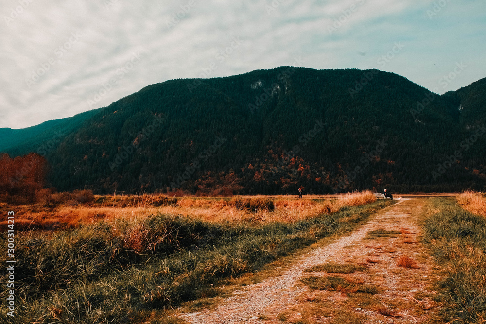 autumn in the mountains