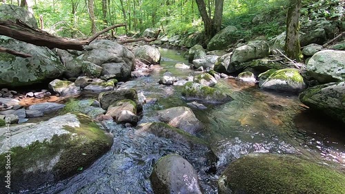 Hazel River, Shenandoah Virginia - Wide Shot looking Down River