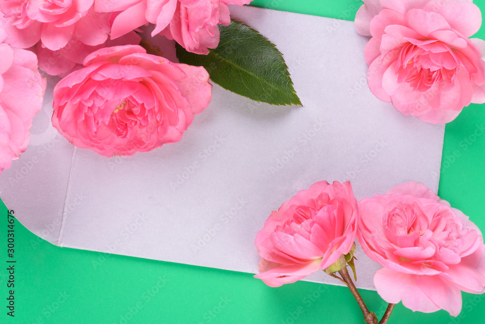Flat view of envelope and Pink rose on the colour background.