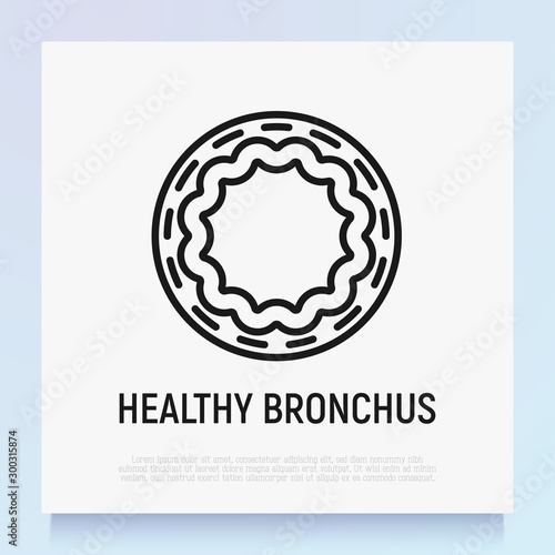 Healthy bronchus thin line icon. Modern vector illustration.