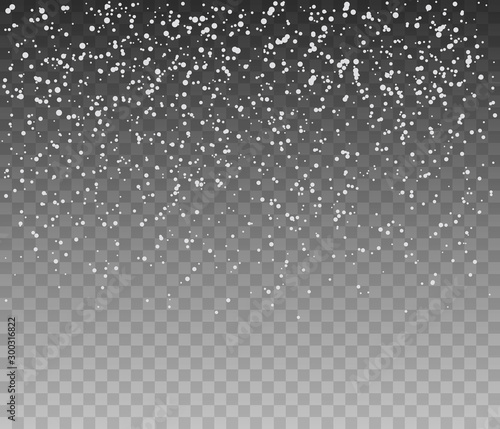 Falling snowflakes. Glitter banner
