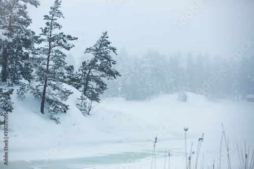 Finland, Espoo in winter. Baltic sea coast covered with snow in foggy day. Island with forest, pine trees and snow white land. Scenic  peaceful Scandinavian landscape © Suzi Media 