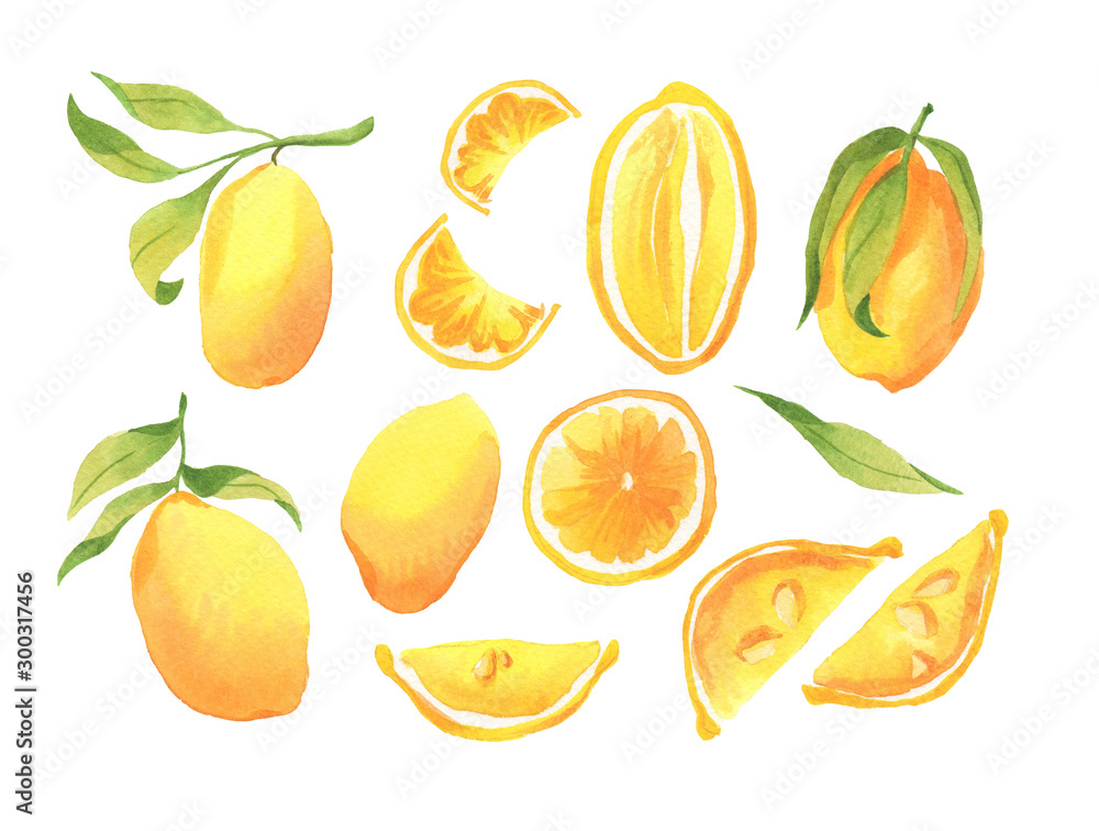 Set with lemons on a twig with green leaves, with cut lemons, with lemon slices Set with lemons on a twig with green leaves, with cut lemons, with lemon slices