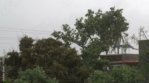 Trees Sway As Strong Hurricane Winds Hit - Megi photo