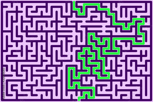 Rectangle maze with solutio...