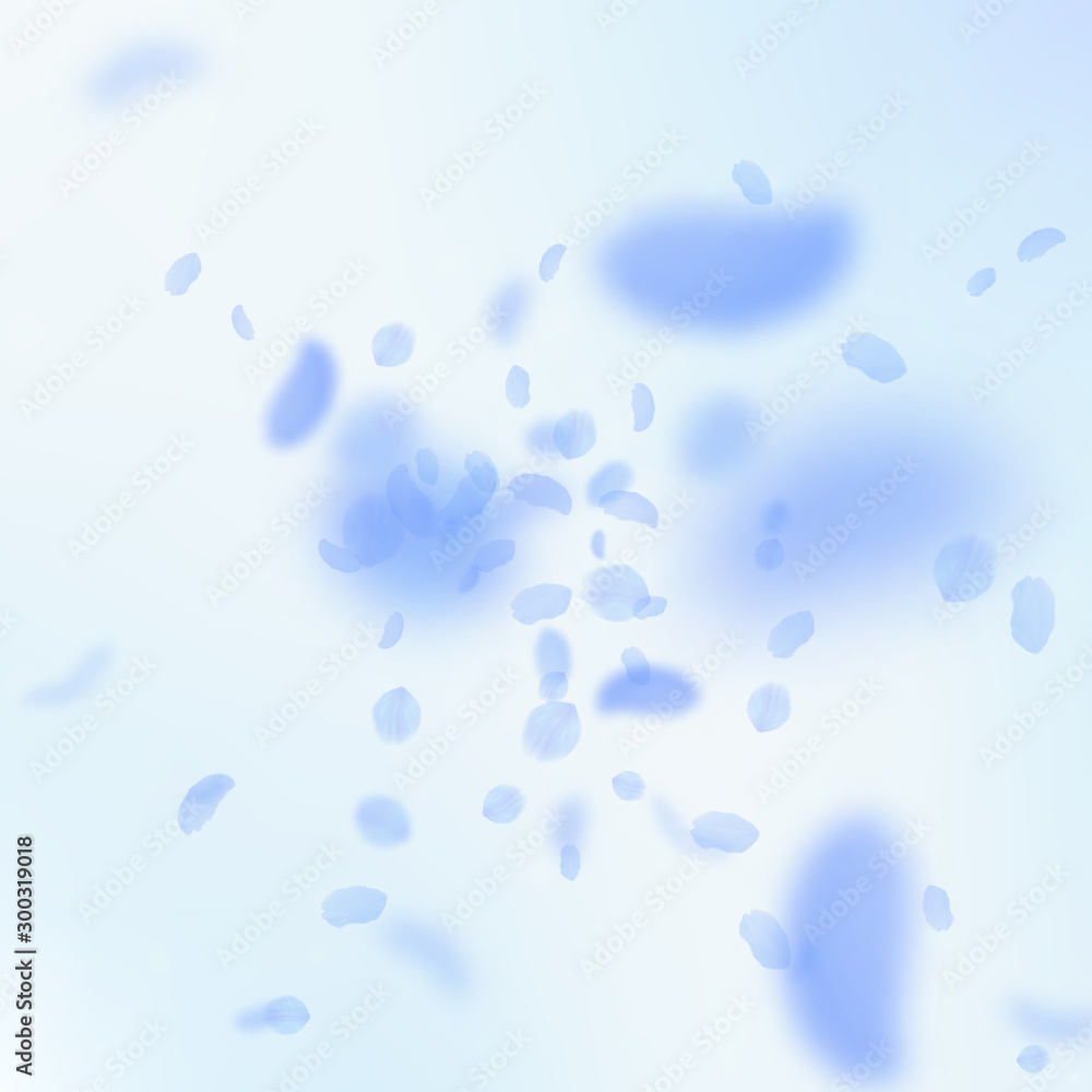 Dark blue flower petals falling down. Creative rom Dark blue flower petals falling down. Creative rom