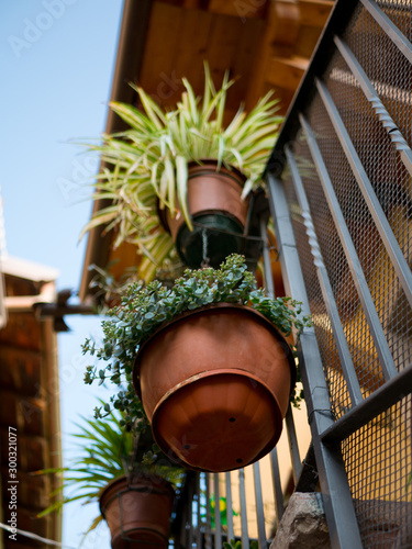 Close up of hanging plant pots outside the stairs in a pretty little medieval town, Malcesine on a sunny day.