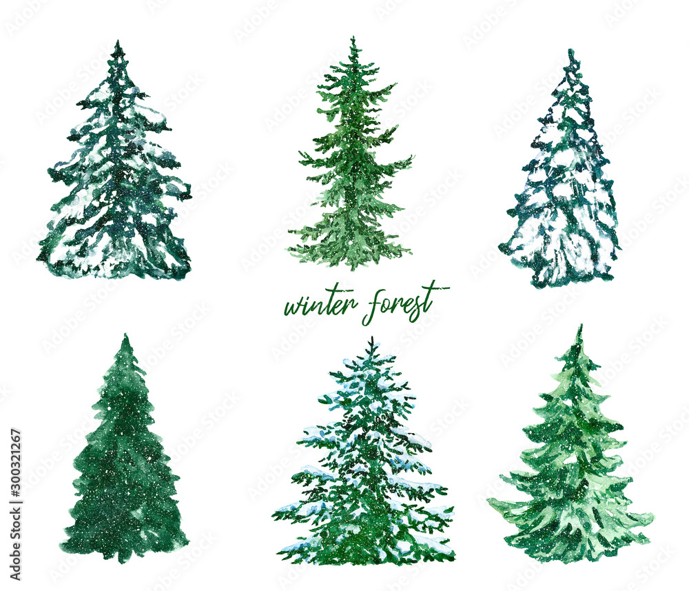 Watercolor pine trees set. Hand painted spruce forest illustration ...