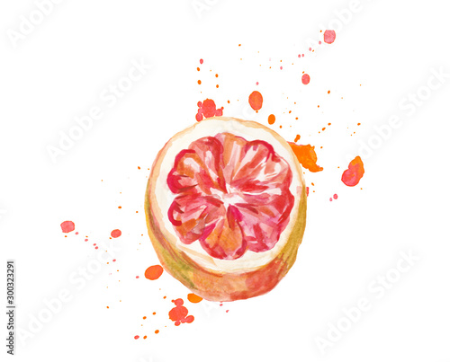 Watercolor hand drawn pink grapefruits with blot. Isolated eco natural food fruits illustration on white background.Slice of grapefruit drawing by watercolor.
