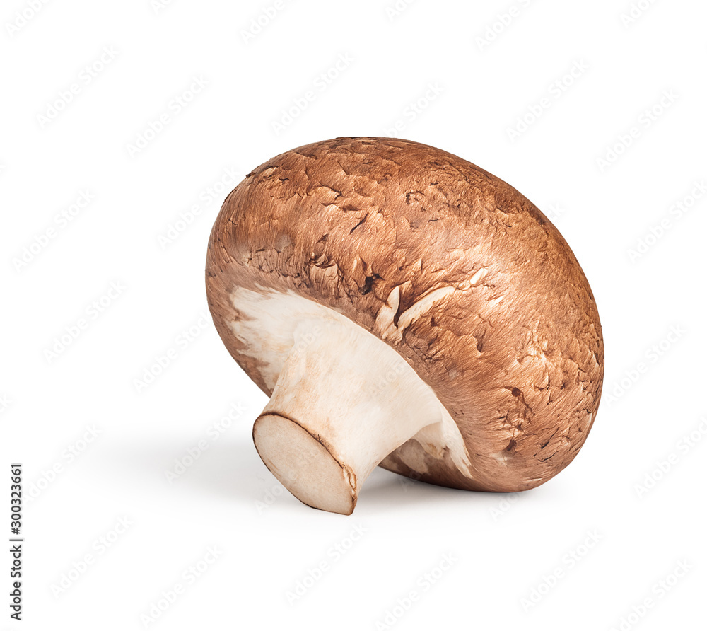 one royal champignon on an isolated white background one royal champignon on an isolated white background