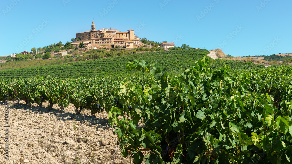 Vineyard with Labraza town as background, Rioja Alavesa, Spain