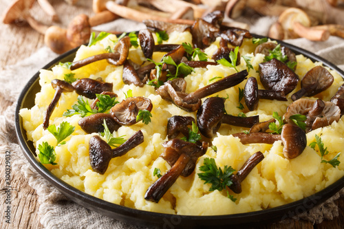 Rustic food forest mushrooms honey fungus with mashed potatoes close-up in a plate with ingredients. horizontal