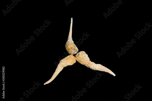 Herbal Lepidium meyenii Walp on a black background