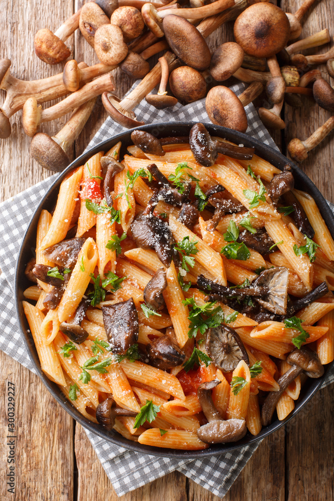 Italian penne pasta with Armillaria mellea mushrooms, tomatoes, cheese and parsley close-up in a plate. Vertical top view Italian penne pasta with Armillaria mellea mushrooms, tomatoes, cheese and parsley close-up in a plate. Vertical top view