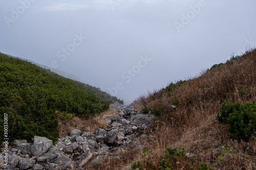 Panoramic view of the tatramountains and forest in Slovakia mountain peaks that meet to form a mountain spring that is currently dry, but the whole valley of the mountain range is in fog