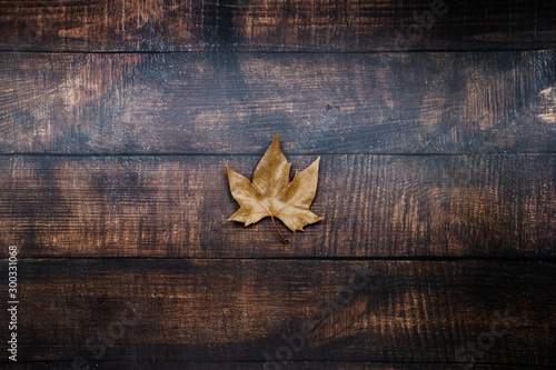 Dry leaf centered on wooden background.