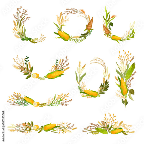 Set of compositions from ears and ears of corn. Vector illustration.