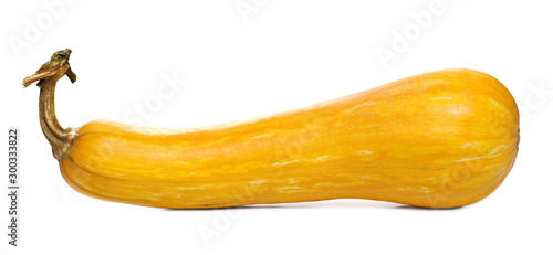 Quadro em tela Yellow autumn gourd isolated on white background