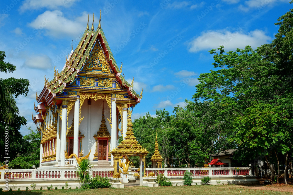 Thailand Wat Tortoise village 