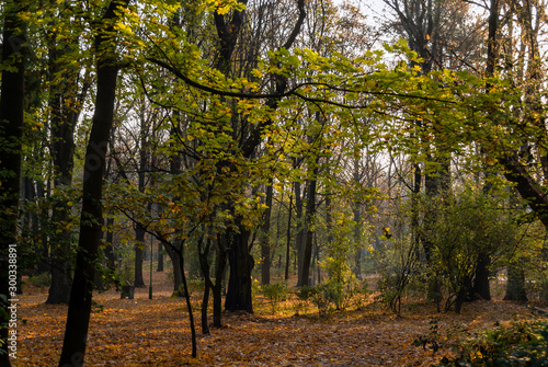 Białostocki Park Planty jesienią, Białystok, Podlasie, Polska