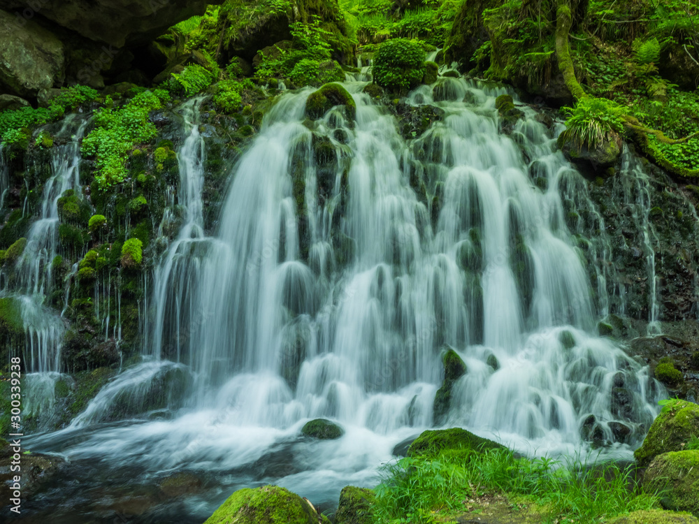 Fototapeta premium 元滝伏流水