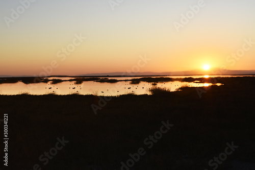 Beautiful Northern California Sunrise Over Wetland  photo