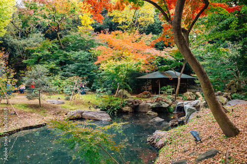 Fototapeta Naklejka Na Ścianę i Meble -  Rikugien Gardens at autumn in Tokyo, Japan