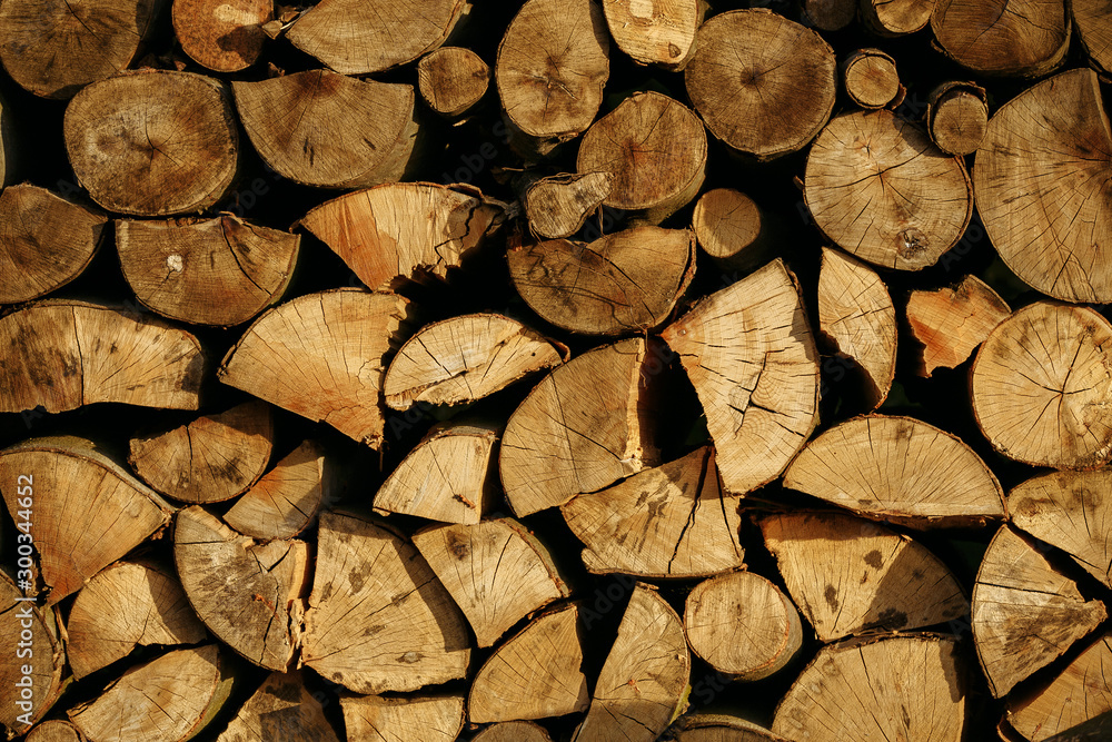 firewood chopped and stacked in rows firewood chopped and stacked in rows