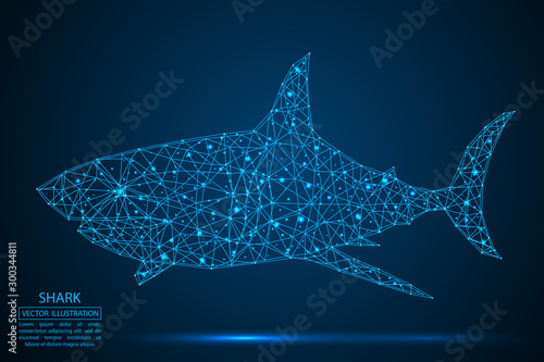 Abstract shark consists of lines and triangles. The illustration is made up of polygons and points, stars in the sky. Vector EPS 10.