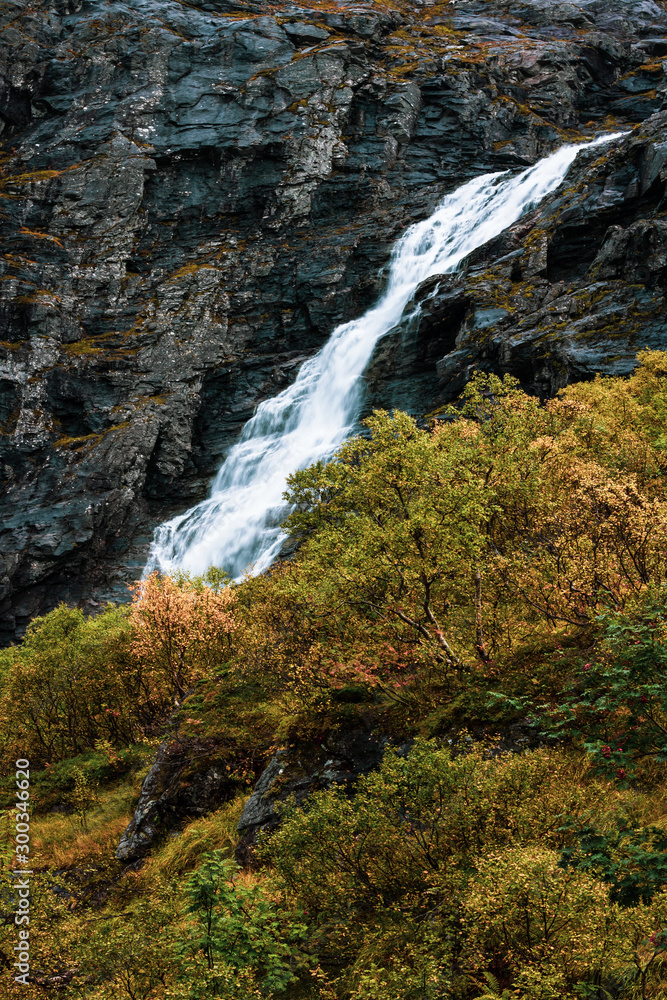 Norwegian Autumn powerful waterfall in the Forest Norwegian Autumn powerful waterfall in the Forest