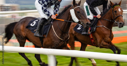 Motion blur horse racing action, two race horses galloping at speed