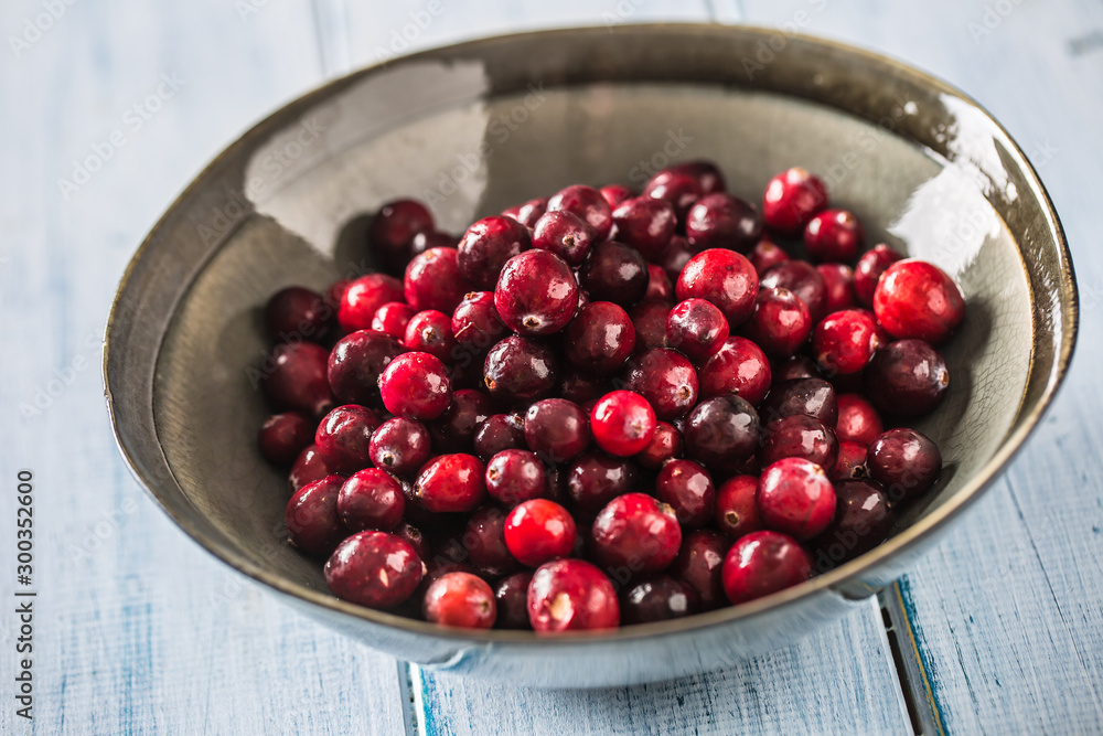 Fresh ripe cranberries in bowl on table close-up