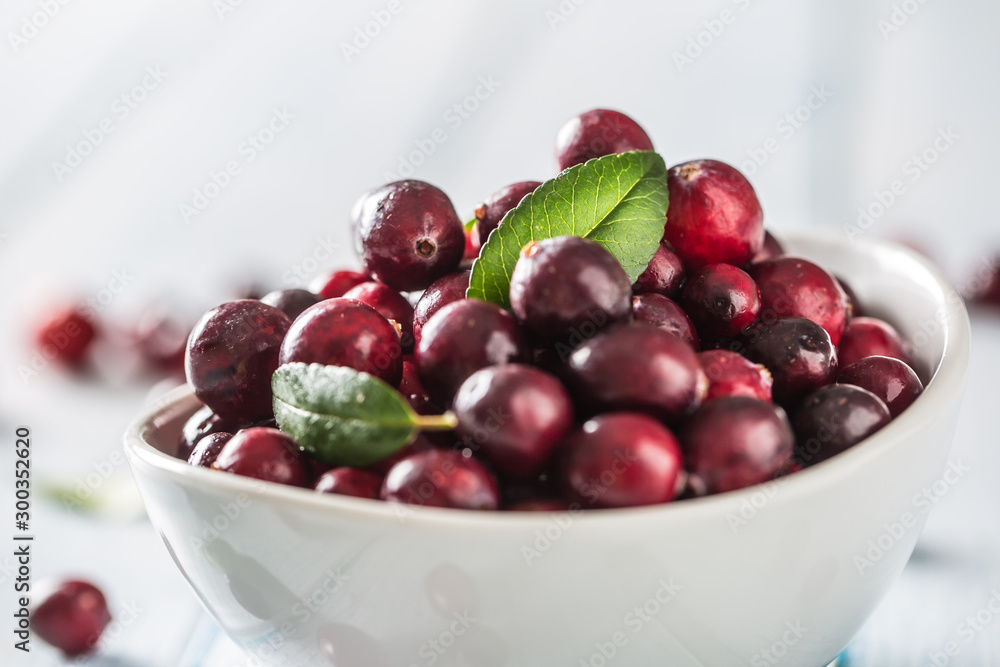 Fresh ripe cranberries in bowl on table close-up Fresh ripe cranberries in bowl on table close-up