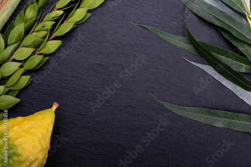 Set of four species: palm, willow, myrtle, etrog. The Sukkot festival. Lulav on dark, stony background with a copy-space photo