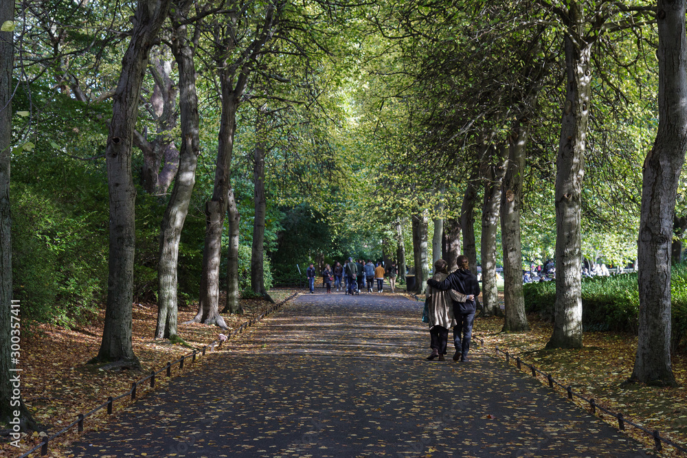 Fototapeta premium St Stephens Green Park - Autumn Walk