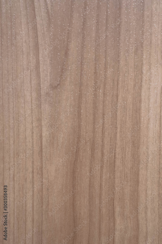 Texture of wood background with vertical wood fibers