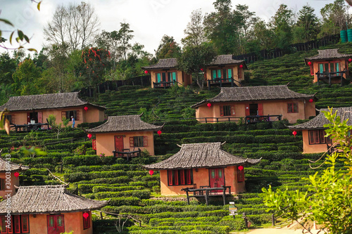 Chinese-style house in a tea plantation
