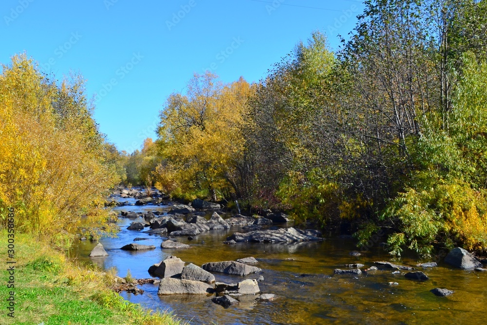 Fototapeta premium Autumn. Taiga river with clear water, boulders and rifts.