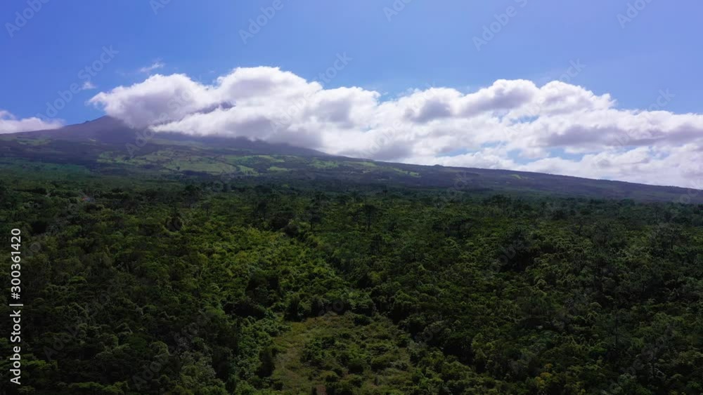 Pico mountain hidden by clouds, aerial view of green forest, azores.
Pico mountain hidden by clouds, aerial view of green forest, azores.