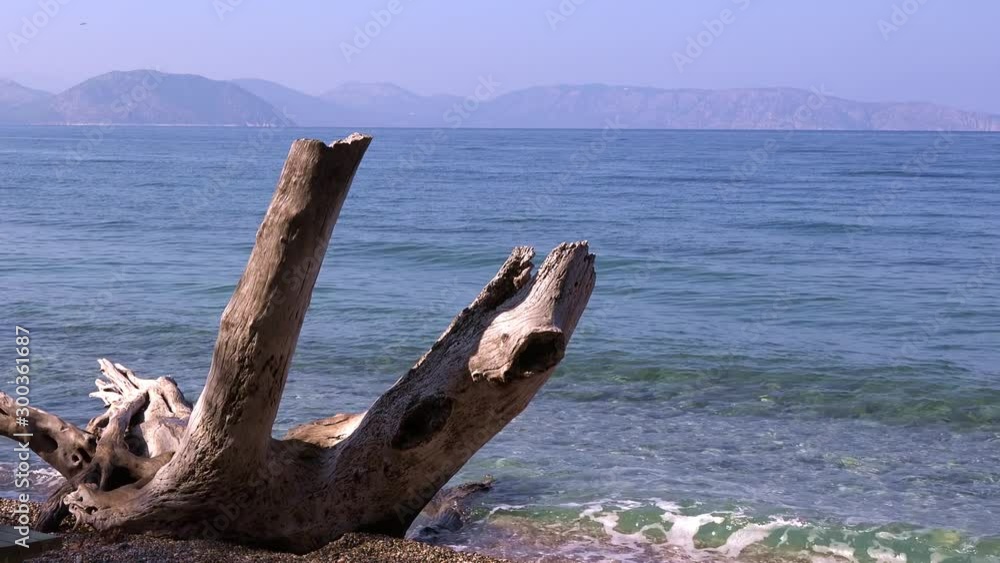 Dilek National Park (Milli Park), located on the coast of the Aegean Sea in Turkey, near the city of Kusadasi, opposite the Greek island of Samos Dilek National Park (Milli Park), located on the coast of the Aegean Sea in Turkey, near the city of Kusadasi, opposite the Greek island of Samos