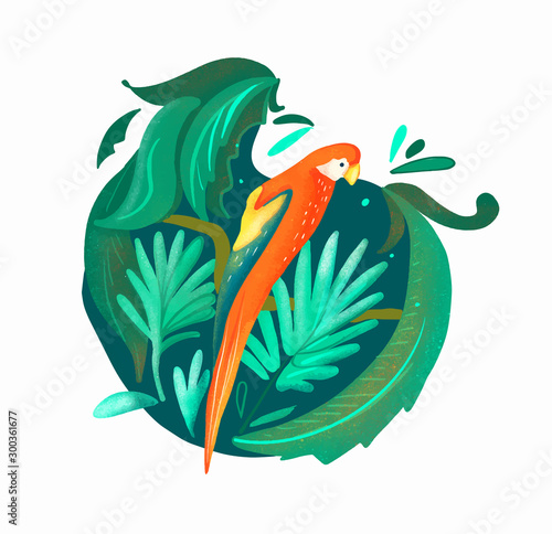 Parrot vector illustration in topical jungle.