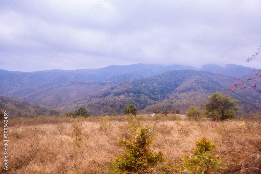 Beautiful autumn nature scenic mountain landscape
