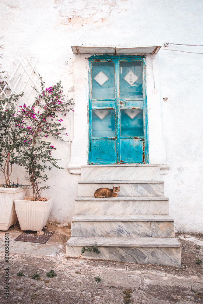 Fototapeta premium Streets and doors of Puglia, Italy