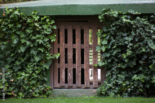 puerta de madera entre hiedra
