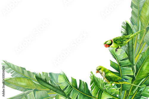 Canvas Print greeting card with place for text, tropical palm leaves and parrot birds on a wh