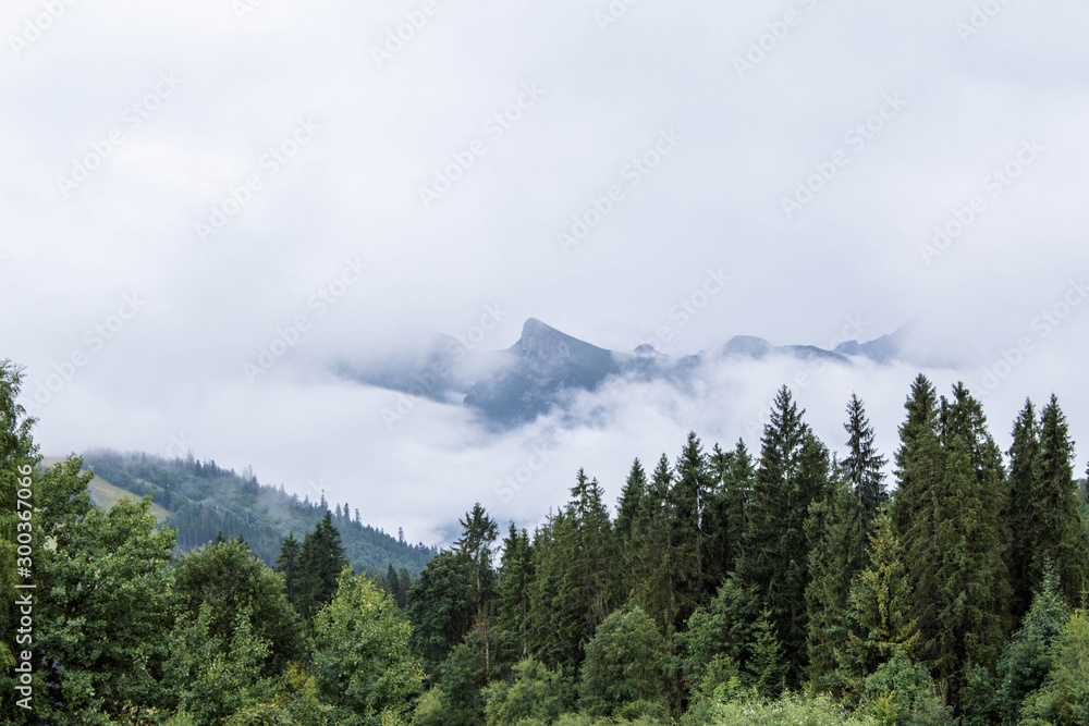 Cloudy mountain landscape behind forest