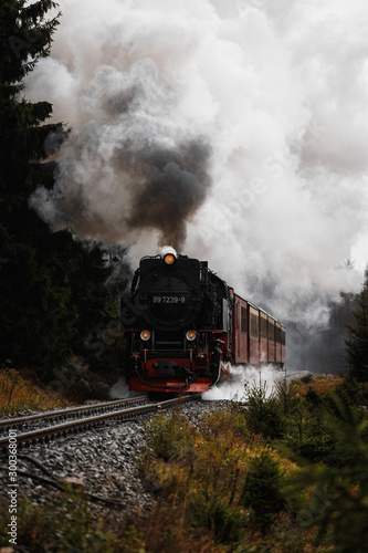 Antique and original Harz steam locomotive passing through the fog and steam during a moody autumn day with orange trees and dark smoke (Harz, Germany)