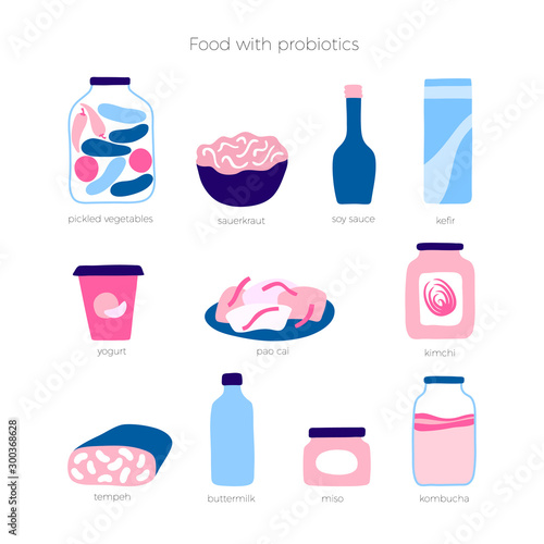 Vector isolated illustration of probiotic food
